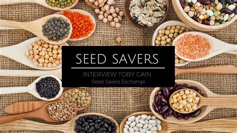 Seed savers exchange - Paint your yard with a beautiful mix of colors by choosing several heirloom and open-pollinated flower seeds. Selections include marigold, morning glory, nasturtium, and zinnia. Shop all flower seeds, including sunflowers and prairie plants.